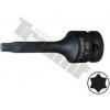 TRIUMF Hlavica torx kovaná, 1/2