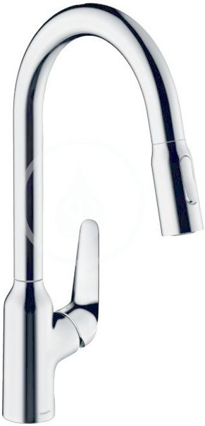 Hansgrohe Focus 71800000