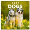 Poznámkový kalendář Psi 2027 - nástěnný kalendář