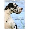 Faszination Deutsche Dogge (Wandkalender 2024 DIN A3 hoch), CALVENDO Monatskalender