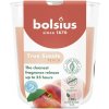 BOLSIUS Peach 313 g