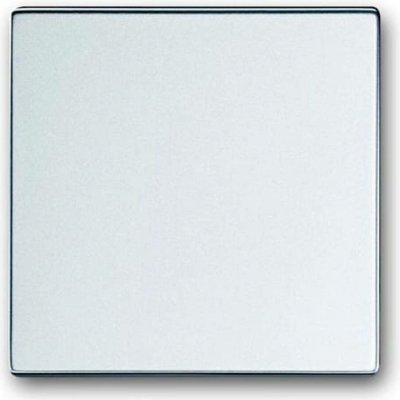 Busch-Jaeger 2CKA001751A2943