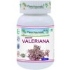 Indická Valeriána spánok pokojná myseľ 500mg 60 kapsúl