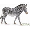 Collecta Zebra
