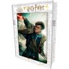 PRIME 3D Puzzle Harry Potter: Harry 3D 300 dílků