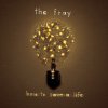 Fray - How To Save A Life / Coloured / Vinyl [LP]