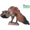 Atlas C Sup 10 cm (W001790)