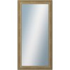DANTIK - Zrkadlo v rámu, rozmer s rámom 60x120 cm z lišty HRAD strieborná patina (2823)