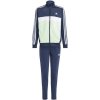 adidas Essentials 3-Stripes Tiberio Track Suit Jr IV5307 (192026) Black 164cm