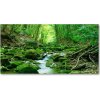 Foto obraz akrylové sklo Prameň v lese 100x50 cm