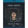 Squire Chris - Fish Out of Water / Blu-Ray [Blu-Ray]