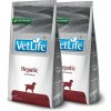 Farmina Vet Life Hepatic Canine 2 x 12 kg