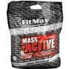 FITMAX MASS ACTIVE GAINER 5000 g MASA WPC proteín