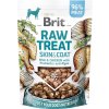 Brit Raw Treat Skin & Coat Freeze-dried treat and topper Fish & Chicken 40 g