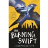 Burning Swift (Shadow Skye, Book Three)