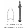 Schwalbe Tubeless Valve Set 60 mm