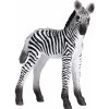 Animal Planet Zebra mláďa