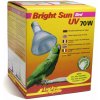 Lucky Reptile Bright Sun Bird 70W