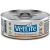 Vet Life Natural Cat konz. Convalescence 85g