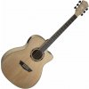 Washburn Apprentice AG40CE