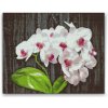 Vymalujsisam.sk Diamantovanie podľa čísiel - Biela orchidea Veľkosť: 30x40cm, Rám: Bez rámu, iba zrolované plátno, Diamanty: Hranaté