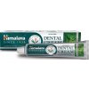 Himalaya Ayurvedic Dental Neem zubná pasta 100g