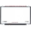 LCD displej display HP 17-CA2000 Serie 17.3