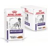 Royal Canin Adult VHN Neutered 12 x 100 g