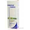 In Vitro Dermipsor šampón na vlasy lupiny 100 ml