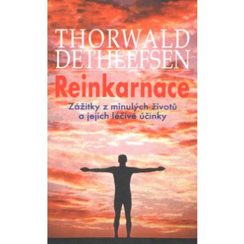 Reinkarnace - Thorwald Dethlefsen