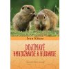 Dojímavé hmyzožravce a hlodavce - Ivan Kňaze