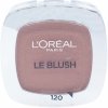 L'Oréal Paris Accord Parfait lícenka 120 Santalwood Pink 5 g