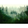 Vliesové fototapety 14210V8, rozmer 368 cm x 254 cm, opar nad lesom, IMPOL TRADE
