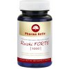 PHARMA ACTIV Reishi forte 1000 90 kapsúl