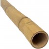 Guadua tyč Ø 5-7 cm, Veľkosť: Ø 5-7 x 100 cm (Bambusové tyče)