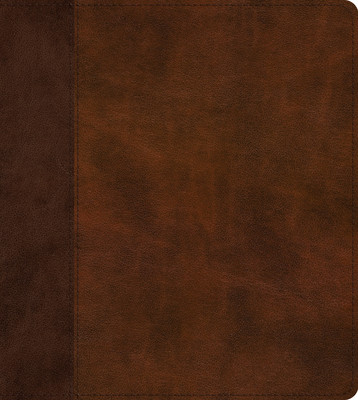 ESV Journaling Study Bible Trutone, Brown/Chestnut, Timeless Design