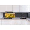 DIMEX | Dibond doska za kuchynskú linku | DBW-08040-214 Maľba slnečníc| 80 x 40 cm + Dibond obkladová doska Dimex do kuchyne Maľba slnečnícv rozmere 80 x 40 cm