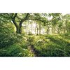 Komar Vliesová fototapeta Mystic Path 400 x 250 cm