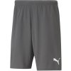 Puma | teamRISE Short | šedá| XXL