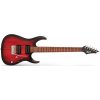 Cort X100 barva OPBB (Open Pore Black Cherry Burst)