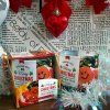 Santo Candles vonná sviečka Merry Christmas 100 g