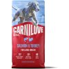 CARNILOVE ACTIVE Dog Dry Made with Salmon & Turkey for Adult Large Breeds 12 kg