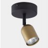 TK Lighting | Bodové svietidlo TOP 1xGU10/10W/230V zlatá/čierna | TK3301