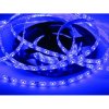 ECOLIGHT LED pásik - SMD 2835 - 5m - 60LED/m - 4,8 W/m - IP65 - modrý