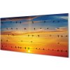Nástenný panel Vtáky na lanách západu slnka 100x50 cm