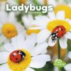 Ladybugs (Lisa J. Amstutz)(Brožovaná)