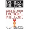 Emotional Intelligence & Working with EQ - Daniel Goleman