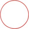 Olympus POL-EP13 O-Ring for PT-EP13