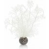 biOrb Plastová rastlina - Sea Fan biela 20 cm