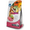 FARMINA TROPICAL PORK ADULT MEDIUM MAXI 10KG + MEGA